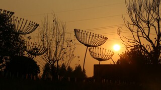 綠地廣清產業(yè)園會展中心景觀軟裝